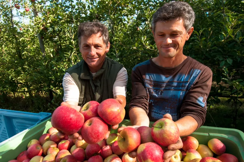 Vente directe producteur à Foulayronnes
