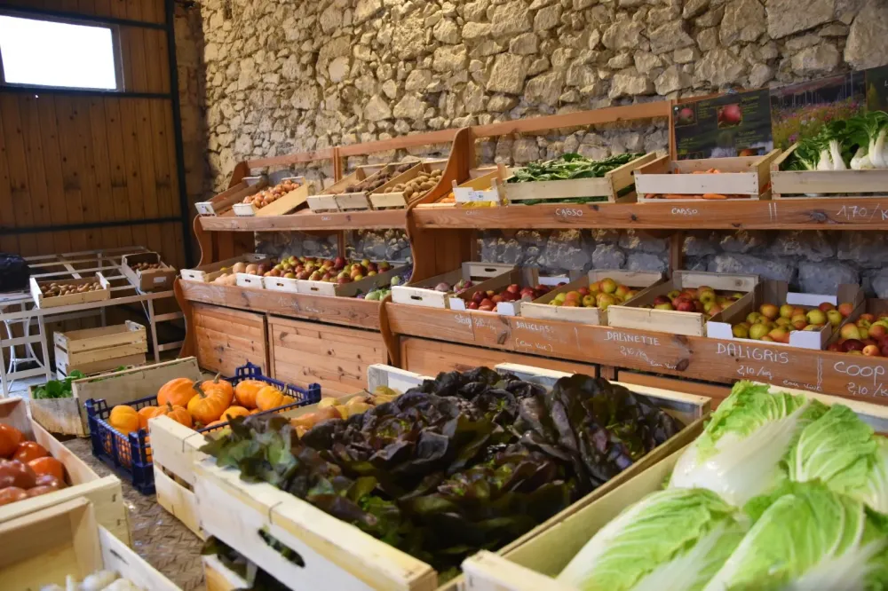 vente fruits legumes 