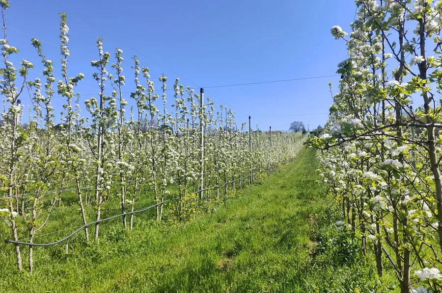 biodiversité