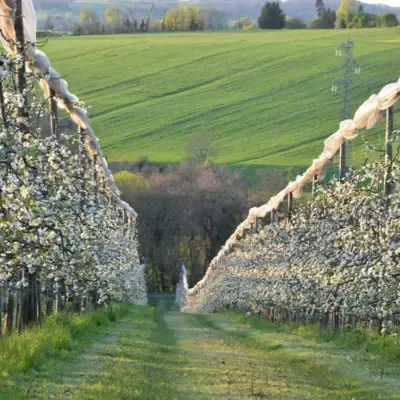 BIENVENUE DANS NOTRE FERME AGROFORESTIÈRE BIO À FOULAYRONNES