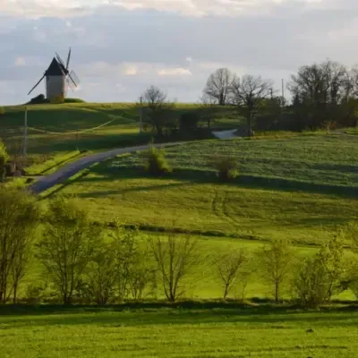 BIENVENUE DANS NOTRE FERME D'ÉLEVAGE BIO À FOULAYRONNES