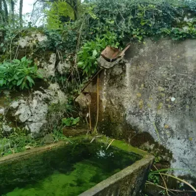 eauvive photo nature