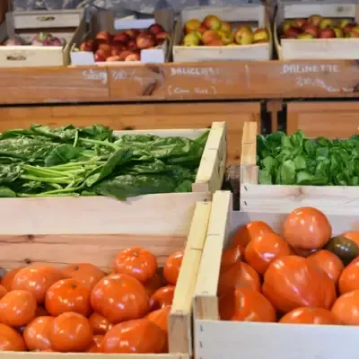 PICERIE BIOLOGIQUE À FOULAYRONNES